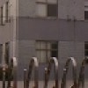 杨于怀的档案